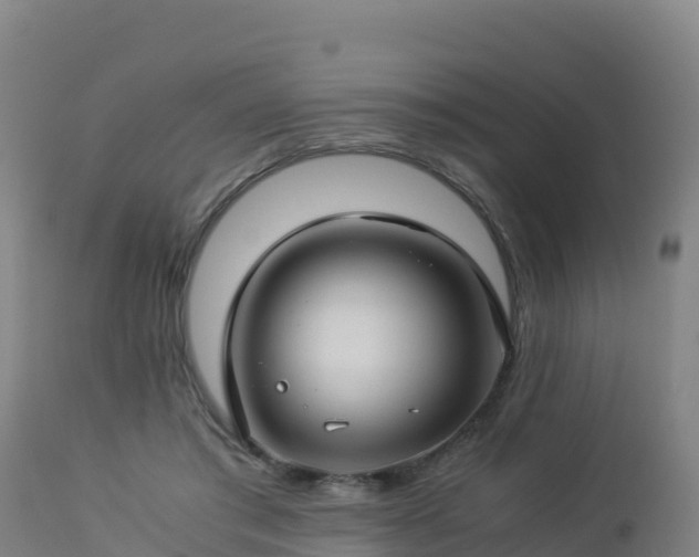 X0000112900405200908281730