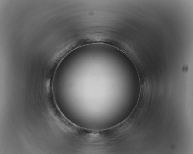 X0000112900406200908281730