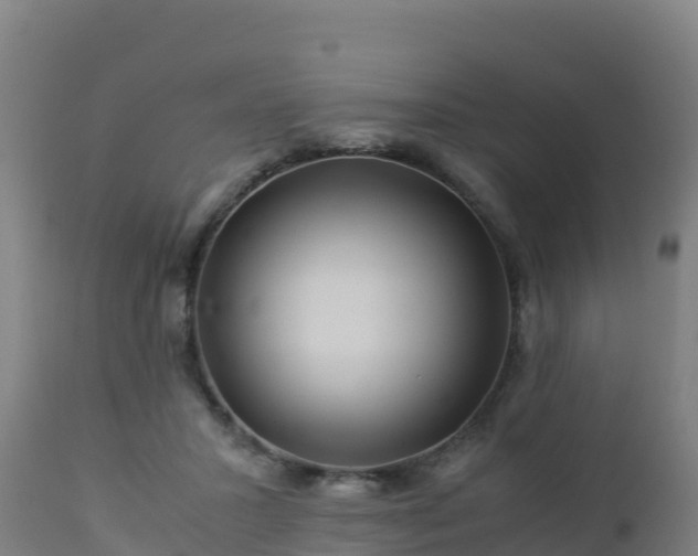 X0000112900407200908281730