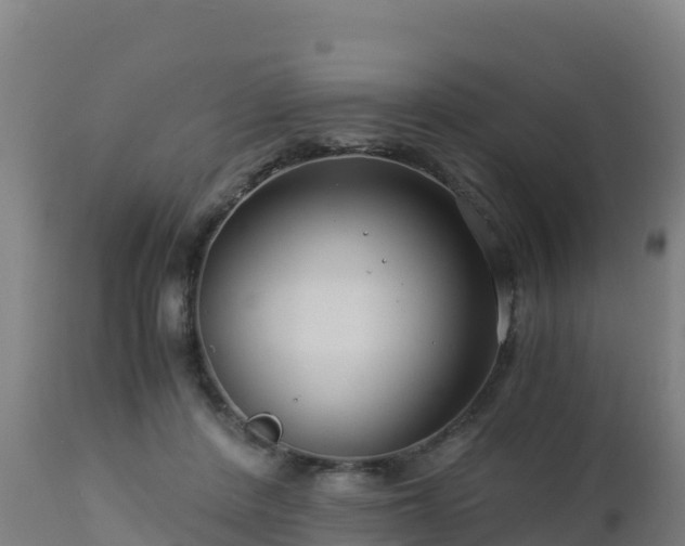 X0000112900408200908281730