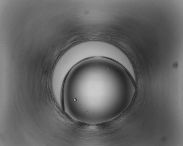 X0000112900409200908281730