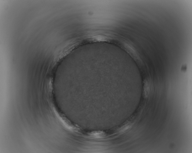 X0000112900410200908281730