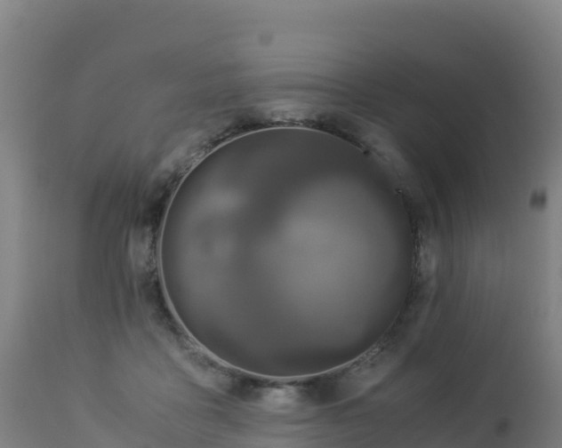 X0000112900411200908281730