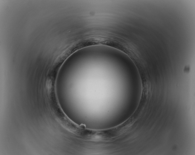 X0000112900412200908281730