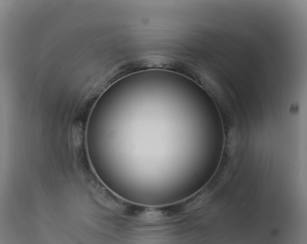 X0000112900413200908281730