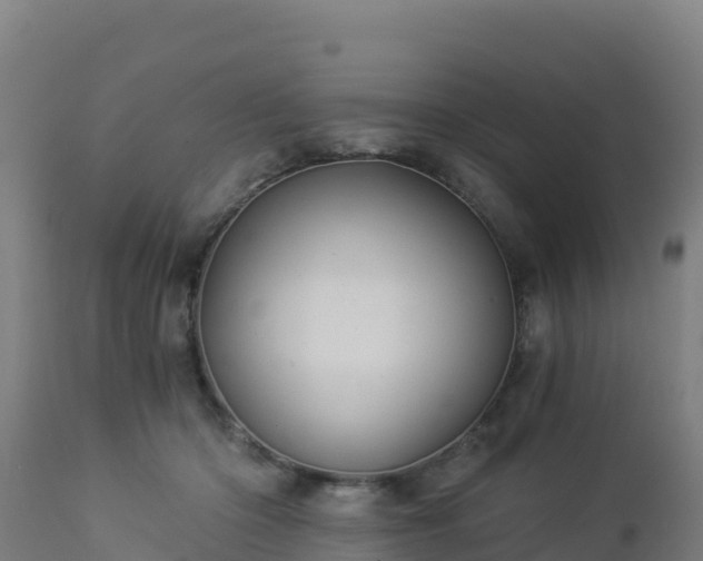 X0000112900414200908281730