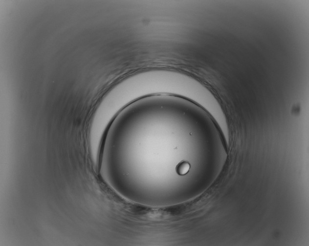 X0000112900415200908281730