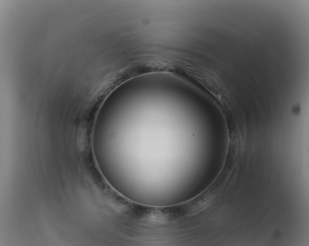 X0000112900416200908281730