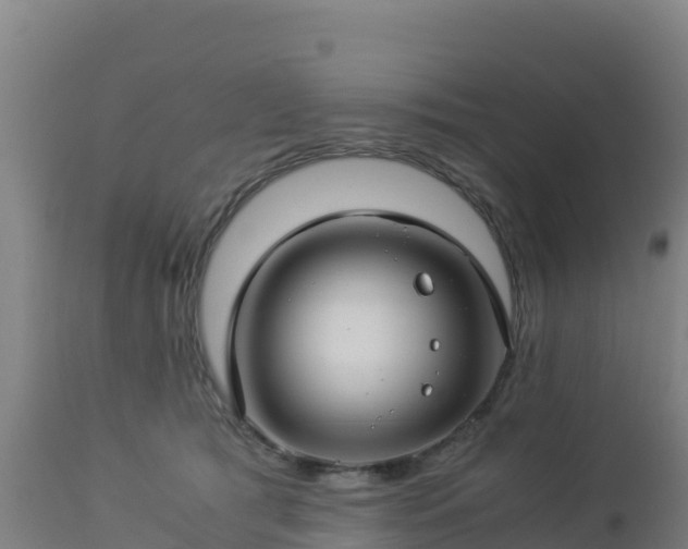 X0000112900417200908281730