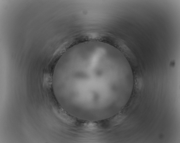 X0000112900419200908281730