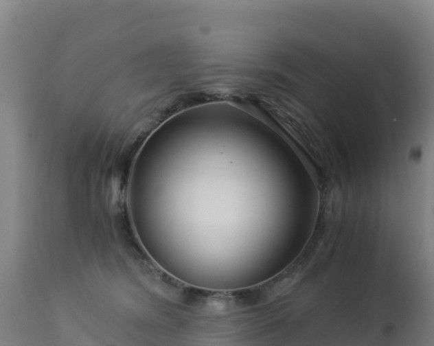 X0000112900420200908281730