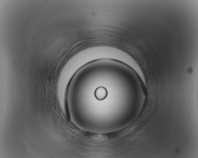 X0000112900421200908281730