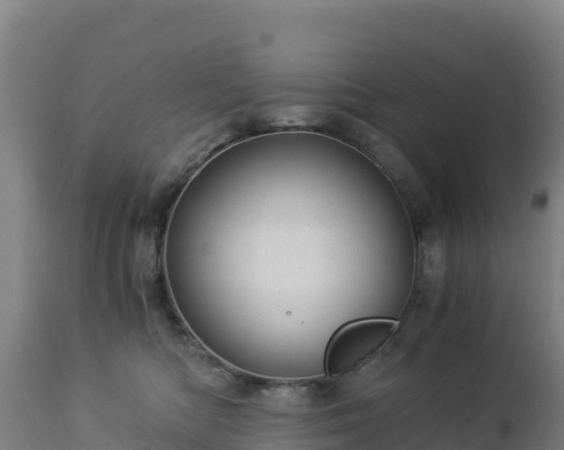 X0000112900422200908281730