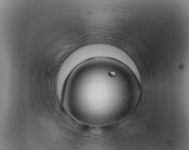 X0000112900423200908281730