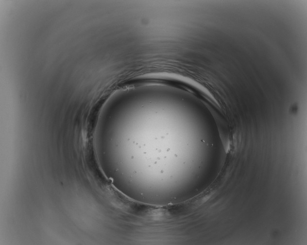 X0000112900424200908281730