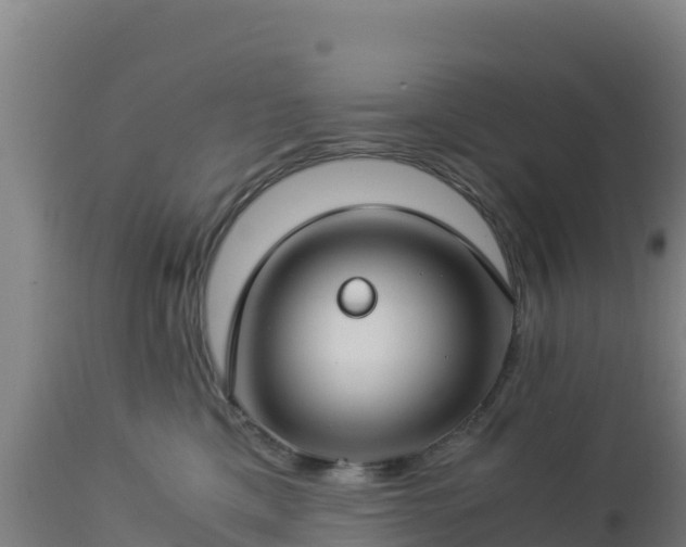 X0000112900425200908281730