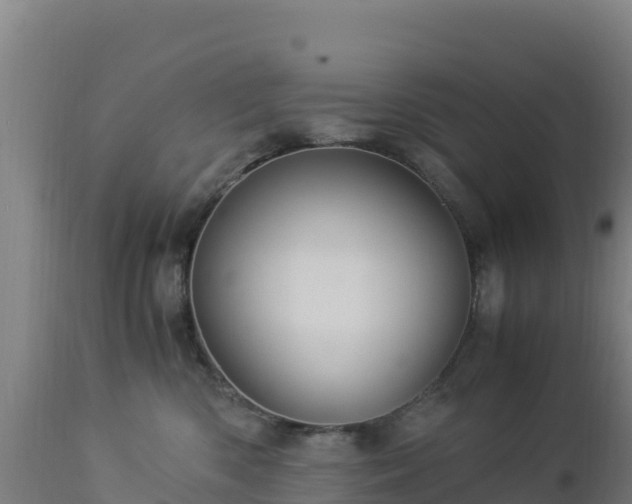 X0000112900426200908281730