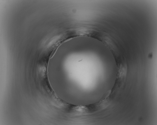 X0000112900427200908281730