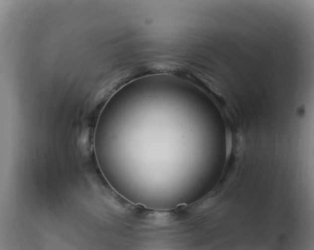 X0000112900428200908281730