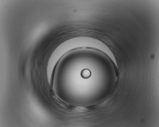 X0000112900429200908281730