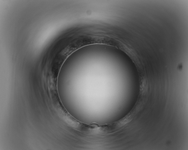 X0000112900430200908281730