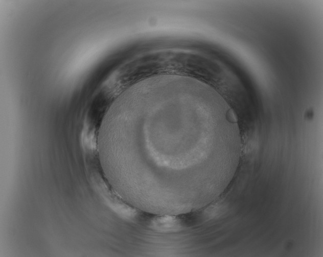 X0000112900431200908281730