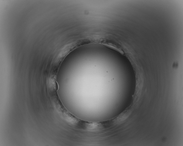 X0000112900432200908281730