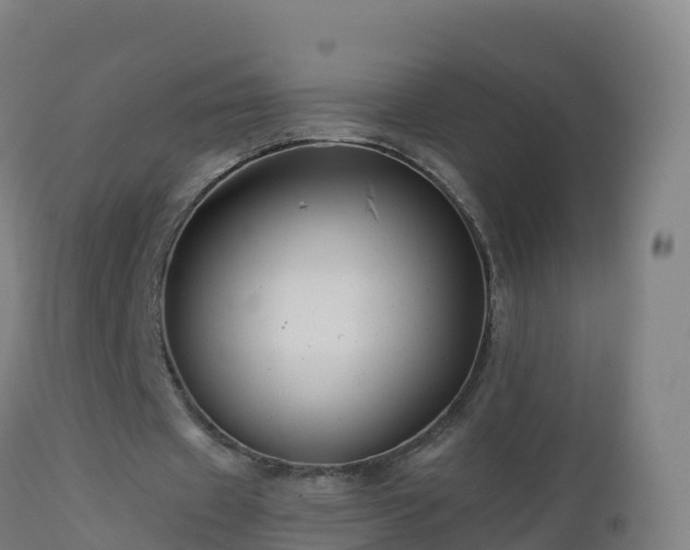 X0000112900433200908281729