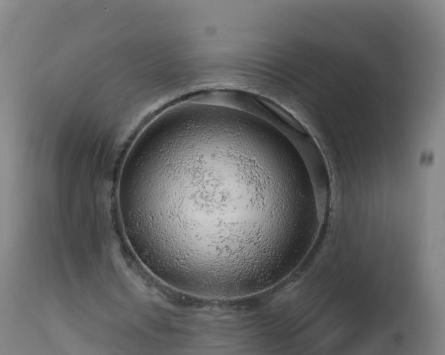 X0000112900434200908281729