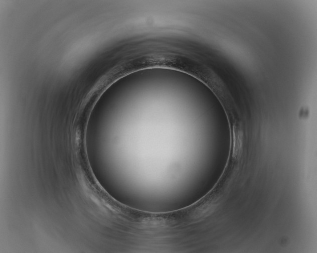 X0000112900435200908281729