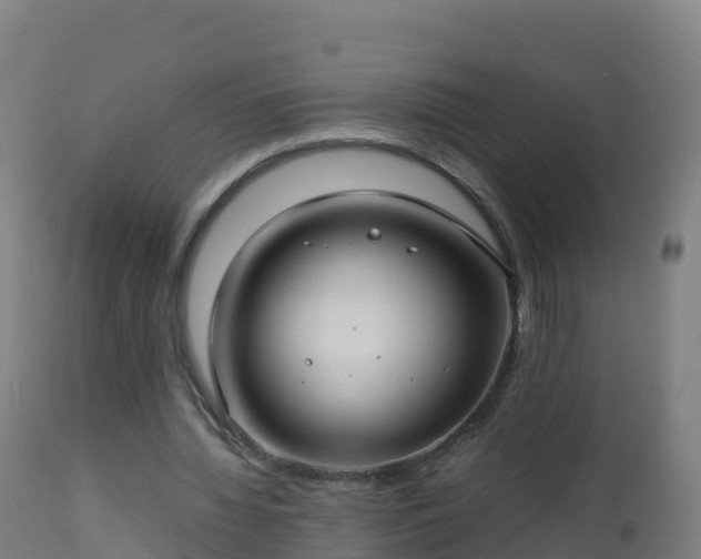 X0000112900436200908281729