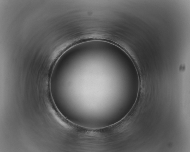 X0000112900437200908281729