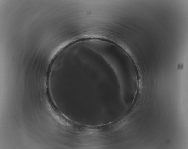 X0000112900438200908281729