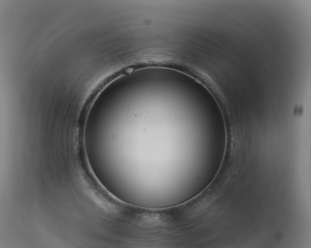 X0000112900439200908281729