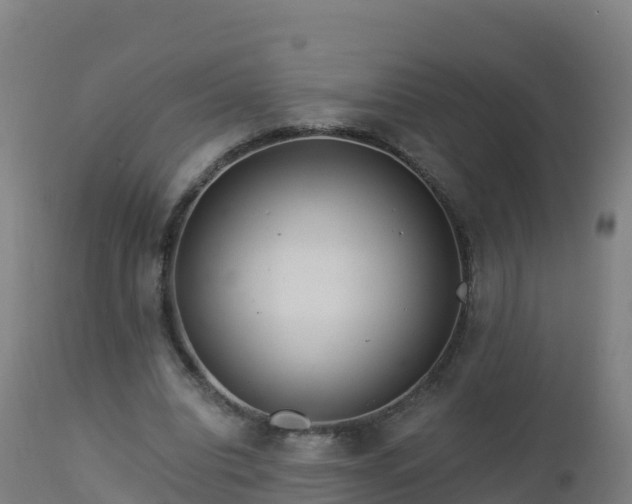 X0000112900440200908281729