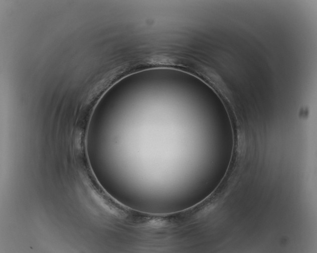 X0000112900441200908281729