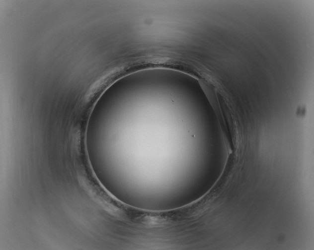 X0000112900442200908281729