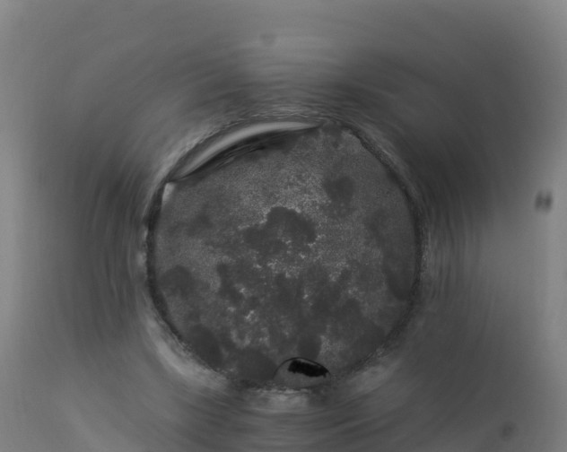 X0000112900443200908281729