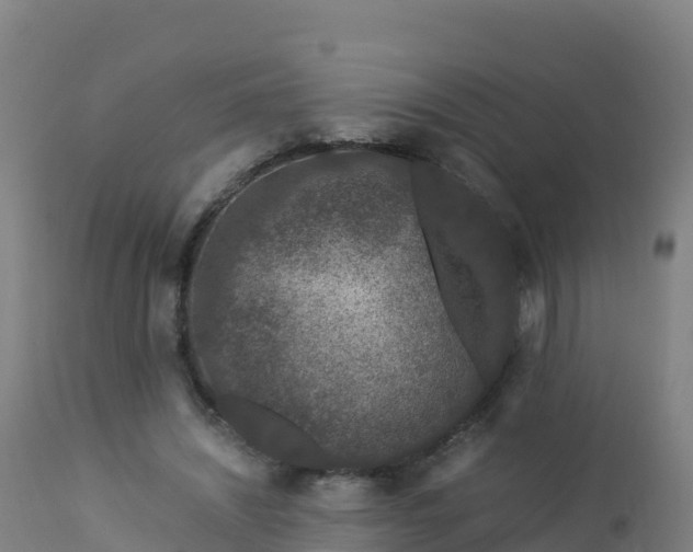 X0000112900444200908281729