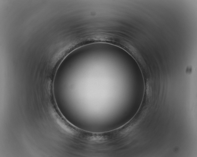 X0000112900445200908281729