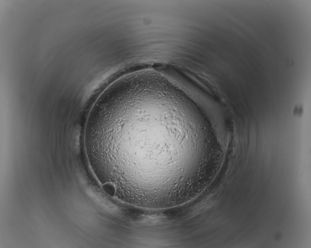 X0000112900446200908281729