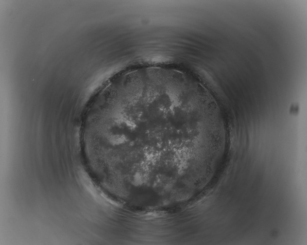 X0000112900447200908281729