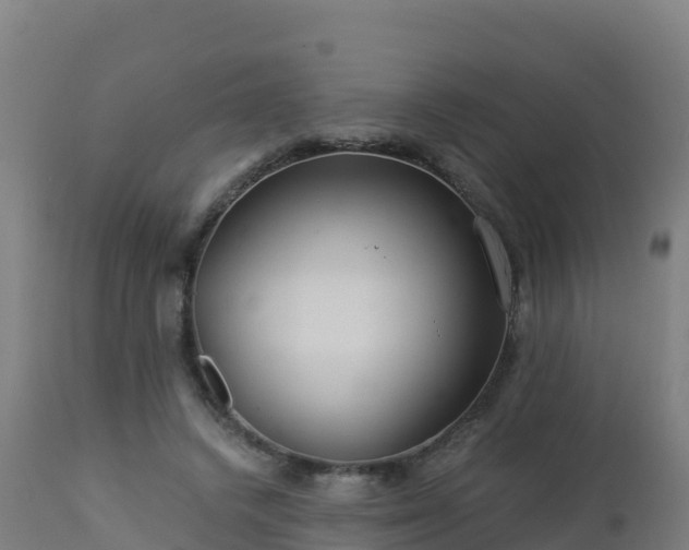 X0000112900448200908281729