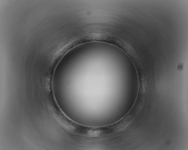 X0000112900450200908281729