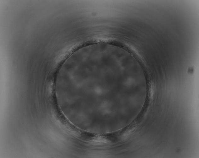 X0000112900451200908281729