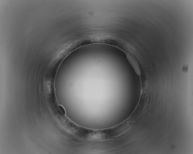 X0000112900452200908281729