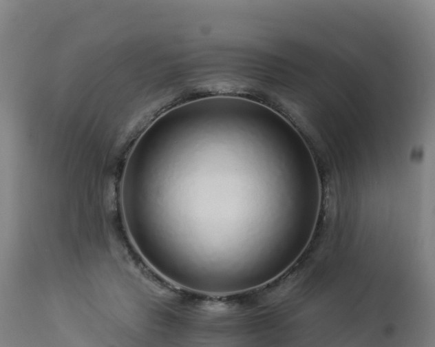 X0000112900453200908281729