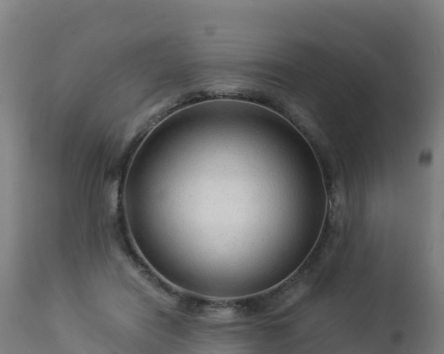 X0000112900454200908281729