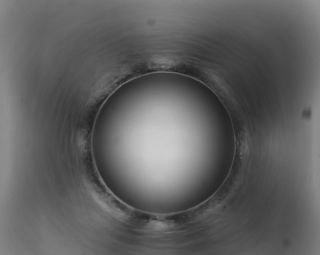 X0000112900455200908281729