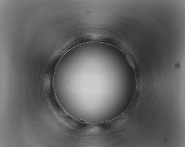 X0000112900456200908281729